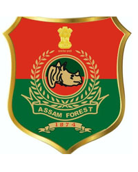 Logo Forest Dept.